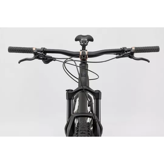 NS Bikes Eccentric Alu 29 – Trail Hardtail | kasitro.live