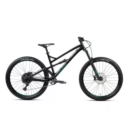 Dartmoor Blackbird 29 INTRO – enduro kolo | kasitro.live