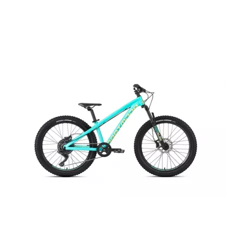 Dartmoor Hornet JUNIOR 24" – enduro kolo (Mint) | kasitro.live