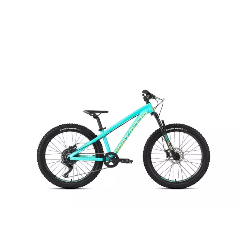 Dartmoor Hornet Junior 24" – Enduro Bike (Mint) | kasitro.live