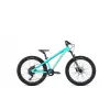 Dartmoor Hornet Junior 24" – Enduro Bike (Mint) | kasitro.live