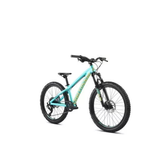 Dartmoor Hornet JUNIOR 24" – enduro kolo (Mint) | kasitro.live