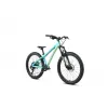 Dartmoor Hornet Junior 24" – Enduro Bike (Mint) | kasitro.live