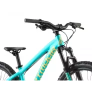 Dartmoor Hornet Junior 24" – Enduro Bike (Mint) | kasitro.live