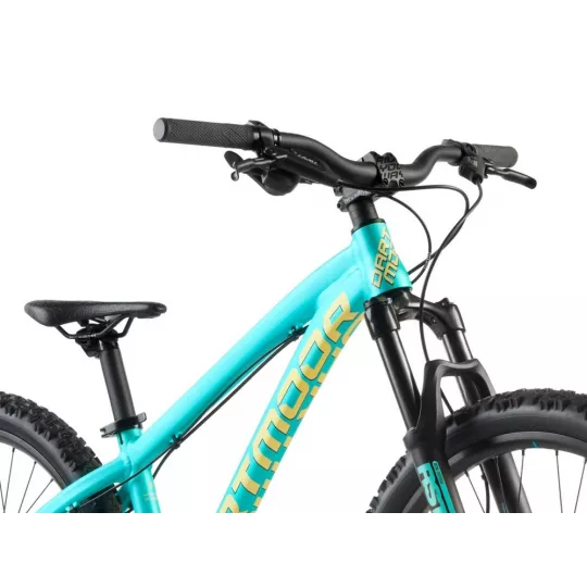 Dartmoor Hornet Junior 24" – Enduro Bike (Mint) | kasitro.live