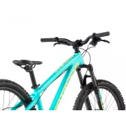 Dartmoor Hornet JUNIOR 24" – enduro kolo (Mint) | kasitro.live