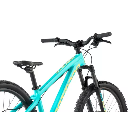 Dartmoor Hornet JUNIOR 24" – enduro kolo (Mint) | kasitro.live