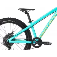 Dartmoor Hornet Junior 24" – Enduro Bike (Mint) | kasitro.live