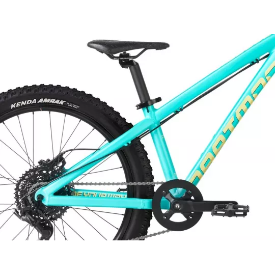 Dartmoor Hornet Junior 24" – Enduro Bike (Mint) | kasitro.live