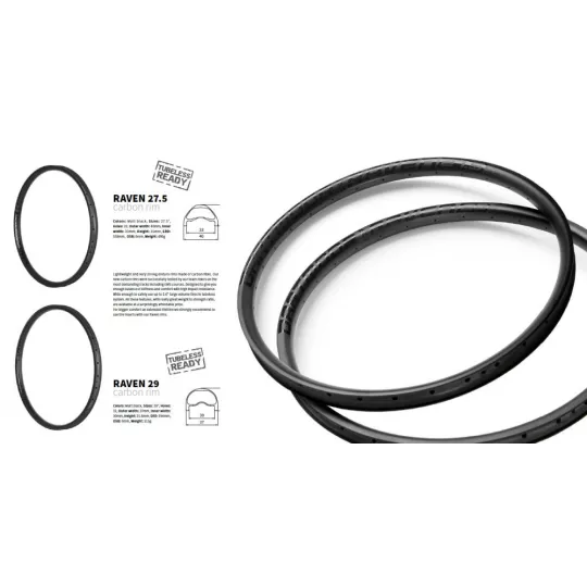 Dartmoor Raven CARBON 29" 32 – Rim | kasitro.live