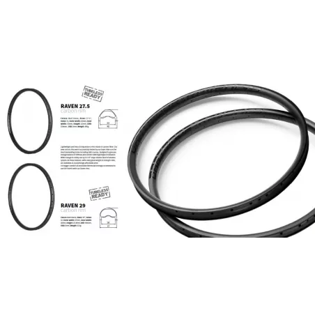 Dartmoor Raven CARBON 29" 32 – Rim | kasitro.live