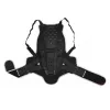 Alpinestars Bionic Backprotector - BNS compatible