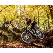 Dartmoor E-Thunderbird CF – Enduro E-Bike | kasitro.live