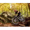Dartmoor E-Thunderbird CF – Enduro E-Bike | kasitro.live
