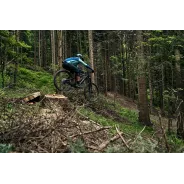 Dartmoor E-Thunderbird CF – Enduro E-Bike | kasitro.live