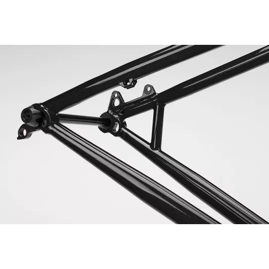 NS Eccentric CRMO 29 – MTB Hardtail Frame | kasitro.live