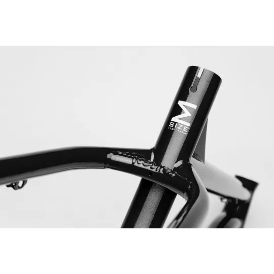NS Eccentric CRMO 29 – MTB Hardtail Frame | kasitro.live