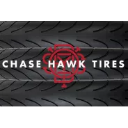 Odyssey Chase Hawk (Pursuit) 20x 2,4 - 100 psi tyre | kasitro.live