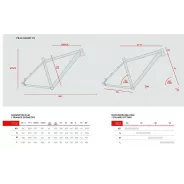 Accent PEAK 29 Boost – MTB Hardtail Frame (Tiger) | kasitro.live
