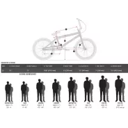 Haro Race Lite Expert Disc – závodní BMX | kasitro.live