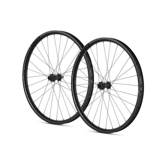 Dartmoor Raven 29 Carbon Expert Boost- Zapletená kola (pár) | kasitro.live