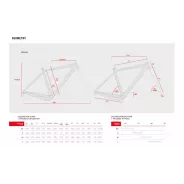 Accent Freak Carbon – Gravel Bike Frame (Ultraviolet) | kasitro.live