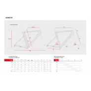 Accent Cyclone Disc Carbon â€“ rĂˇm bĂ­lĂ˝ | kasitro.live