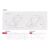 Accent Cyclone Disc – Road Bike Frame (Fresh) | kasitro.live