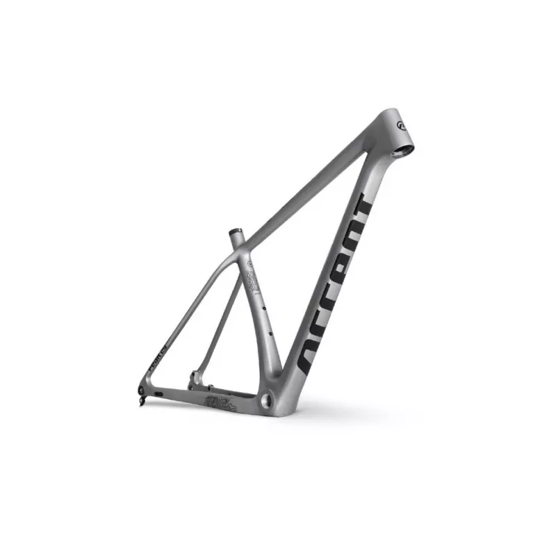 Accent Peak Carbon Boost – MTB Hardtail Frame (Platinum) | kasitro.live