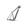 Accent Peak Carbon Boost rám - Platinum | kasitro.live