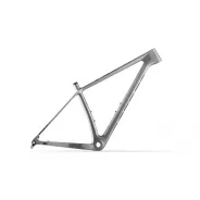 Accent Peak Carbon Boost rám - Platinum | kasitro.live