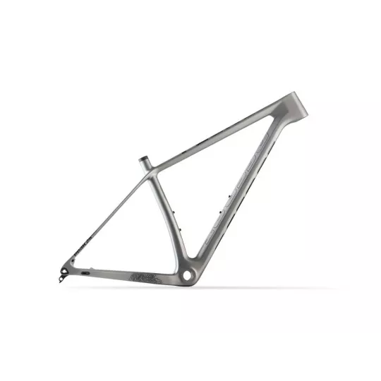 Accent Peak Carbon Boost rám - Platinum | kasitro.live