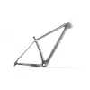 Accent Peak Carbon Boost – MTB Hardtail Frame (Platinum) | kasitro.live