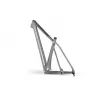 Accent Peak Carbon Boost – MTB Hardtail Frame (Platinum) | kasitro.live