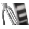 Accent Peak Carbon Boost – MTB Hardtail Frame (Platinum) | kasitro.live