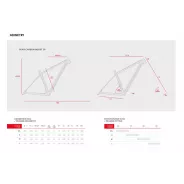 Accent Peak Carbon Boost – MTB Hardtail Frame (Magic) | kasitro.live