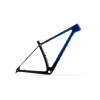 Accent Peak Carbon Boost – MTB Hardtail Frame (Pacific) | kasitro.live