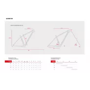 Accent Peak Carbon Boost – MTB Hardtail Frame (Pacific) | kasitro.live