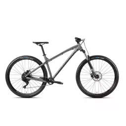 Dartmoor Primal INTRO 29 – kolo Graphite | kasitro.live