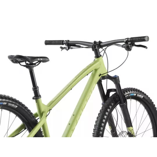 Dartmoor Primal EVO 29 – Green Olive Bike | kasitro.live