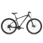 Haro Flightline Two 29 – MTB, 20" Frame | kasitro.live