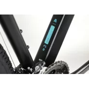 Haro Flightline Two 29 – MTB, 16" Frame | kasitro.live
