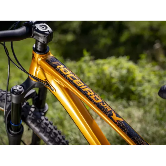 Dartmoor Rocbird Junior 26/24" – dětské kolo | kasitro.live