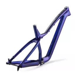 Dartmoor Hornet PRO rám cosmic silver | kasitro.live