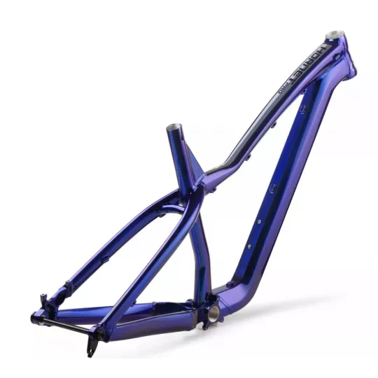 Dartmoor Hornet PRO rám cosmic silver | kasitro.live