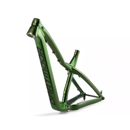 Dartmoor Hornet PRO rám - Dragon Green | kasitro.live