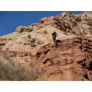 Dartmoor Thunderbird FR â€“ Cosmic Frame Only | kasitro.live
