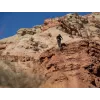 Dartmoor Thunderbird FR â€“ Cosmic Frame Only | kasitro.live