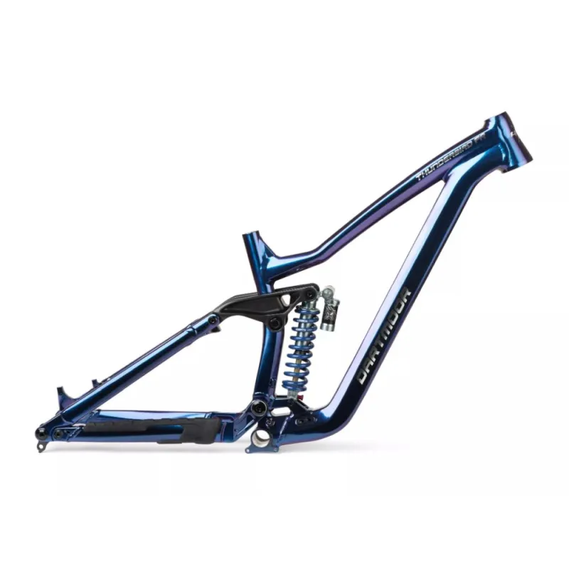 Dartmoor Thunderbird FR â€“ Cosmic Frame Only | kasitro.live