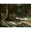 Dartmoor Jibbird | Slopeduro & Jib Frame | kasitro.live